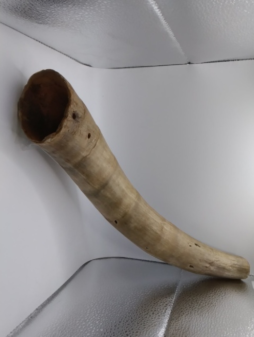 Black Powder Horn - Light Tan